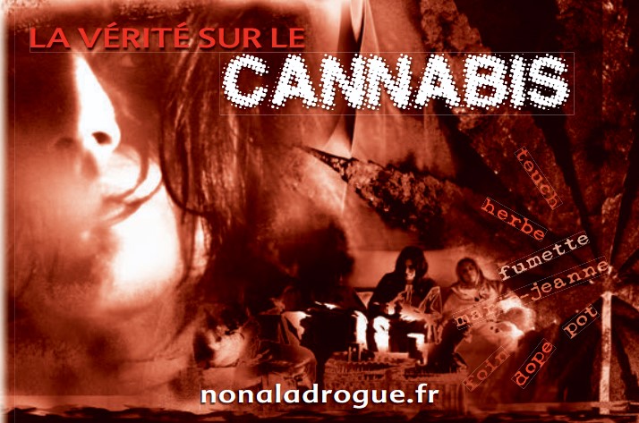 Information et prévention sur le problème des drogues