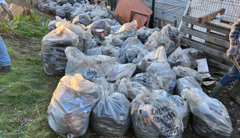 Des bénévoles ont relevé le défi face aux dégradations de l’environnement