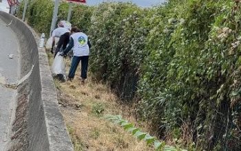L’association Le Chemin du Bonheur agit concrètement en faveur de l’environnement